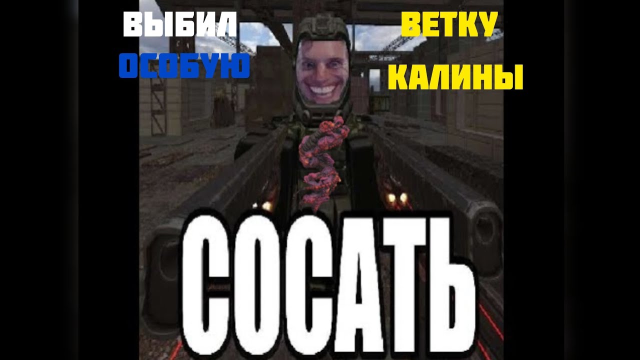 Выбил особую ветку калины на отражении - повезло повезло | stalcraft x
