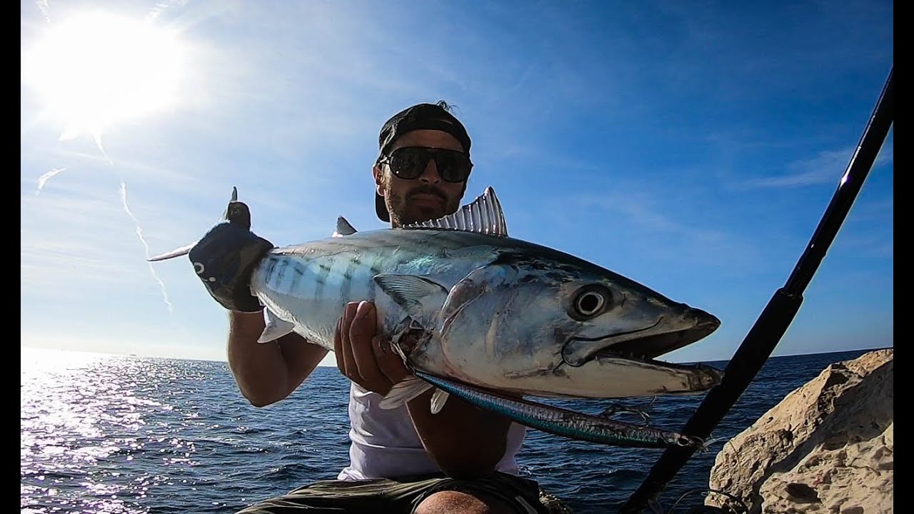 Spinning SW: una palamita birichina /  A naughty bonito