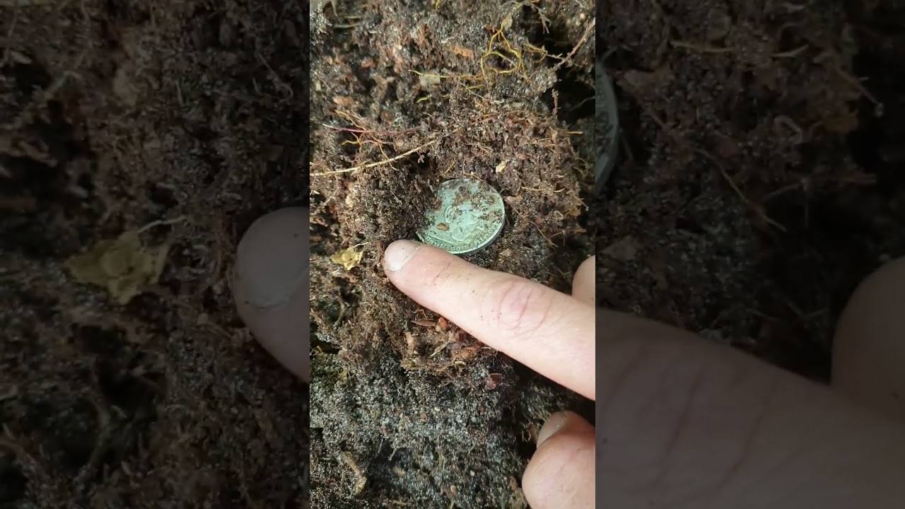 5 Reichs Mark von 1935 im Wald gefunden!