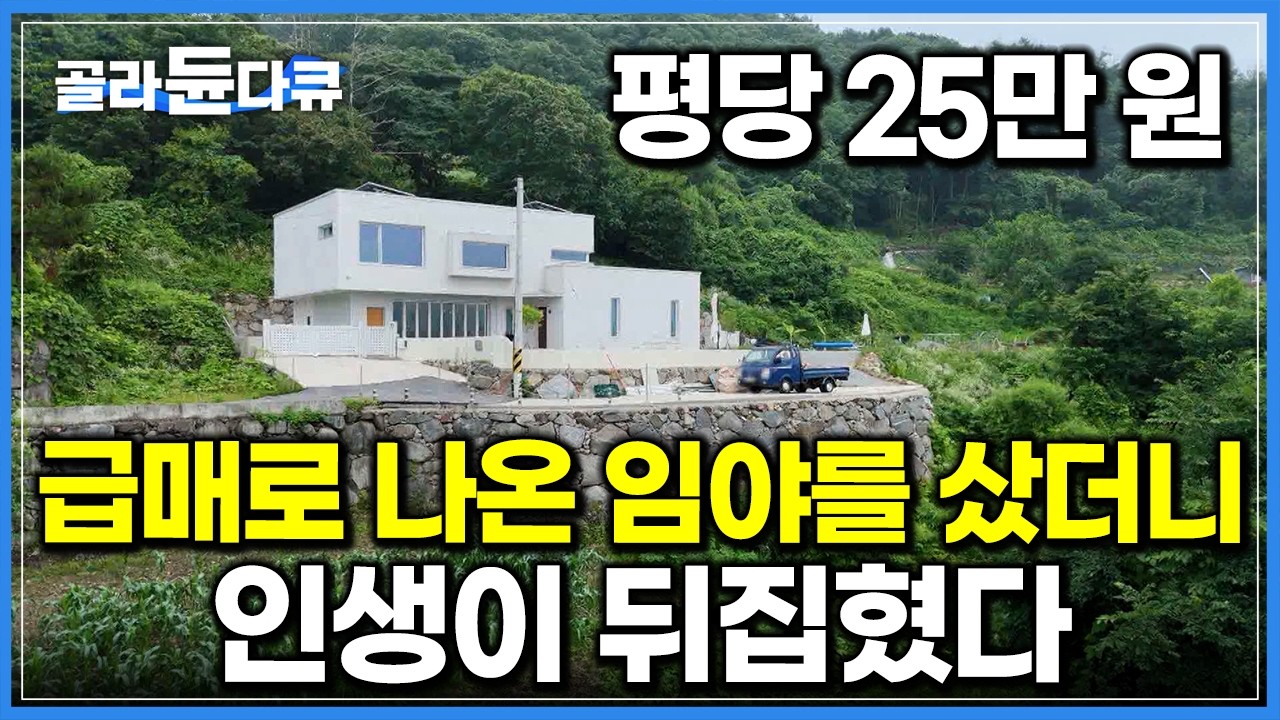 단 한 번의 선택이 인생을 바꿨다. 돈 없어도 영화관, 헬스장, 수영장 다 갖춘 90평 대저택 지은 비결｜급매로 나온 임야 반값에 구매해 로망 실현한 부부｜건축탐구 집｜#골라듄다큐