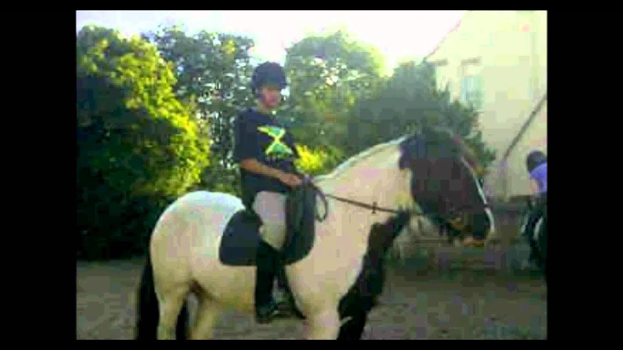 Mottingham Farm + Staff Show!