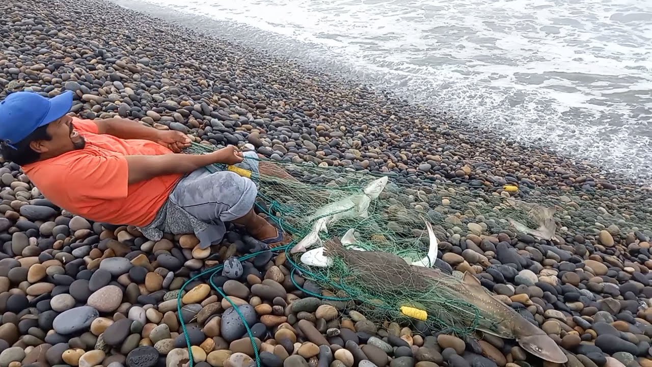 ESTE HOMBRE SACA SU RED del MAR y NO SE IMAGINAN la Gran SORPRESA que se LLEVÓ