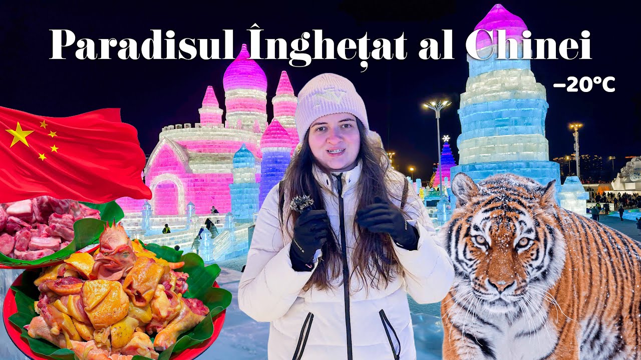 Prima zi &icirc;n Harbin &ndash; m&acirc;ncare, frig extrem, Ice and Snow Festival și tigrii siberieni
