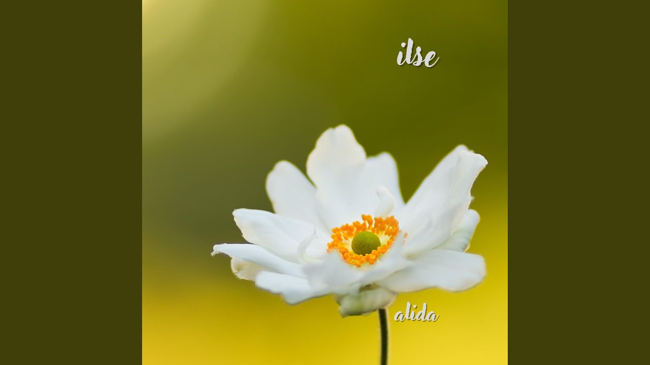 Ilse