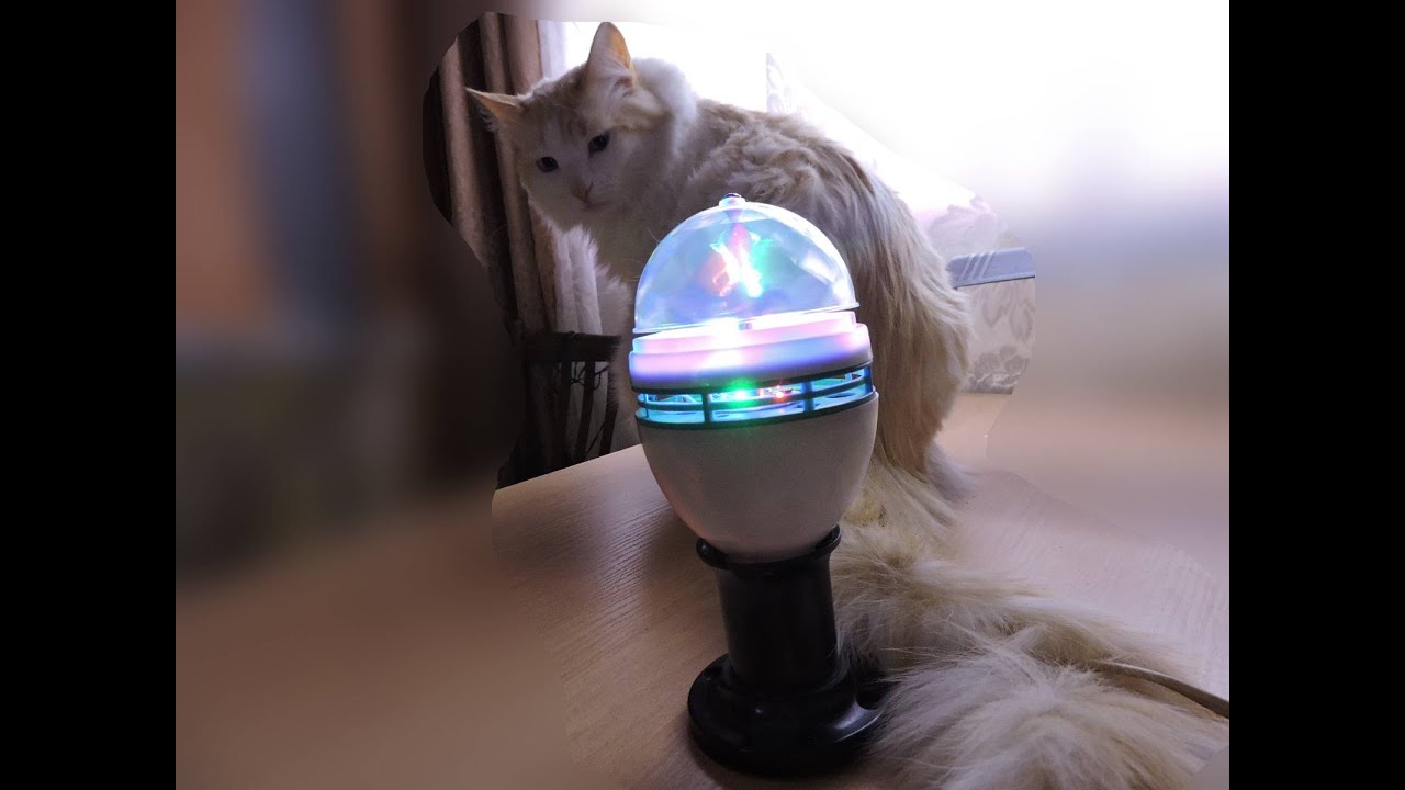 Лампа для дискотеки