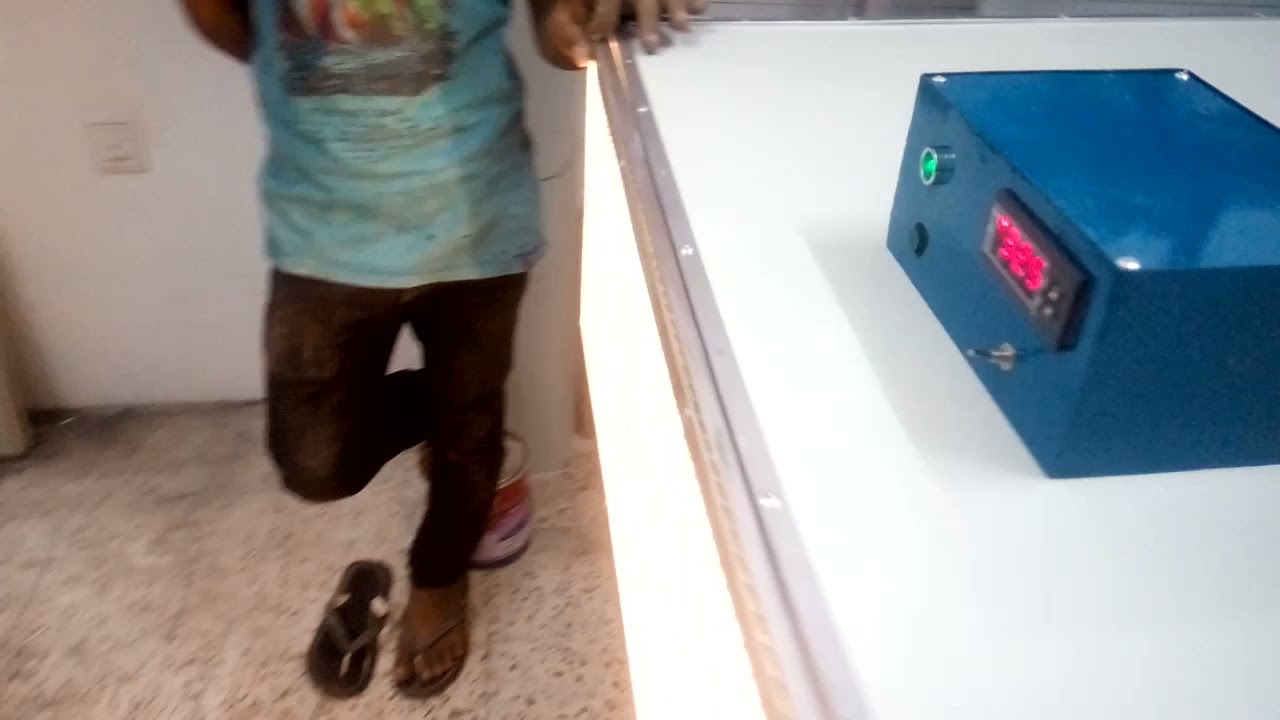 حاضنه كتاكيت تسع150 كتكوت مزوده بنظام حراره دقيق ديجيتل نظام بطاريات تصميم المهندس ليث البدري