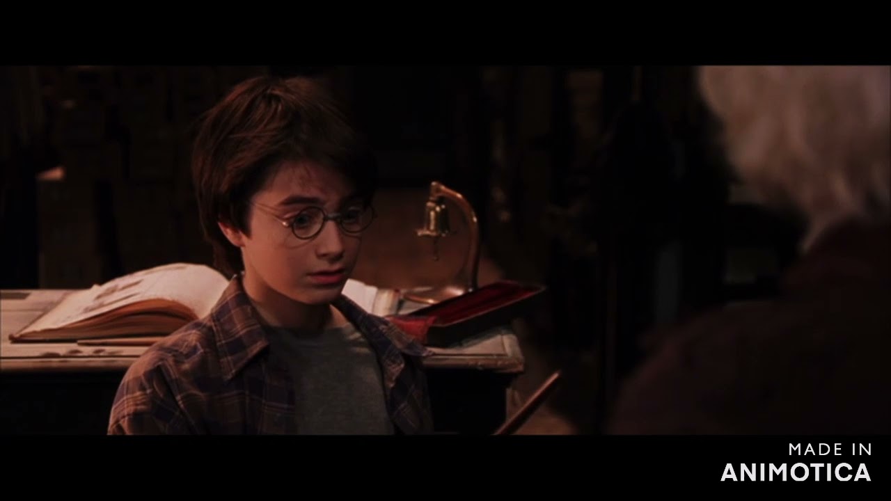 Harry Potter bei Ollivanders
