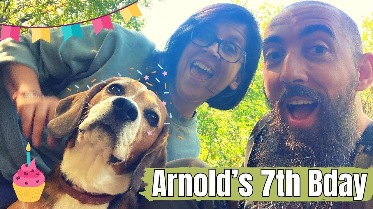 Puppy's 7th Birthday! #104 | Arnold The Beagle