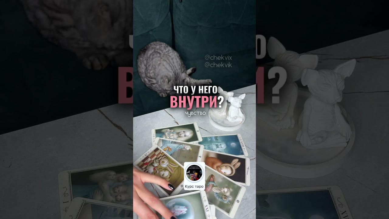 ЧТО У НЕГО ВНУТРИ?❤️&zwj;🩹таро расклад