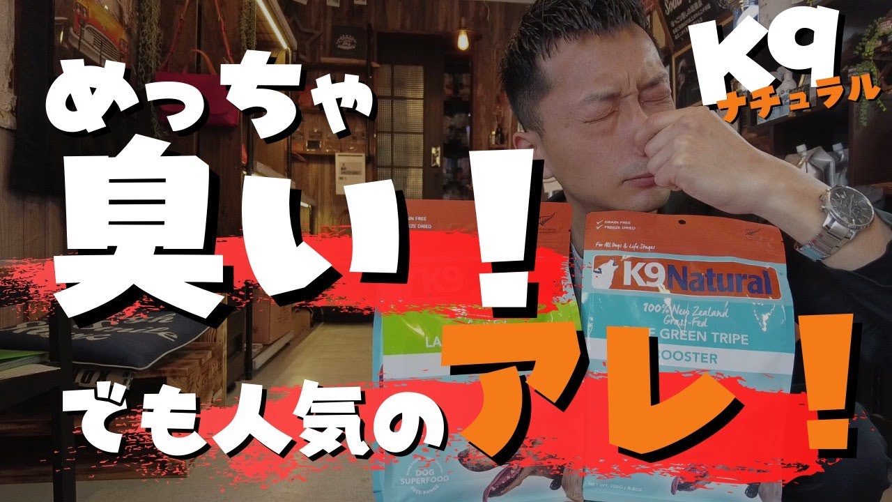 【K9ナチュラル】超オススメのトッピングとサプリメントをご紹介！