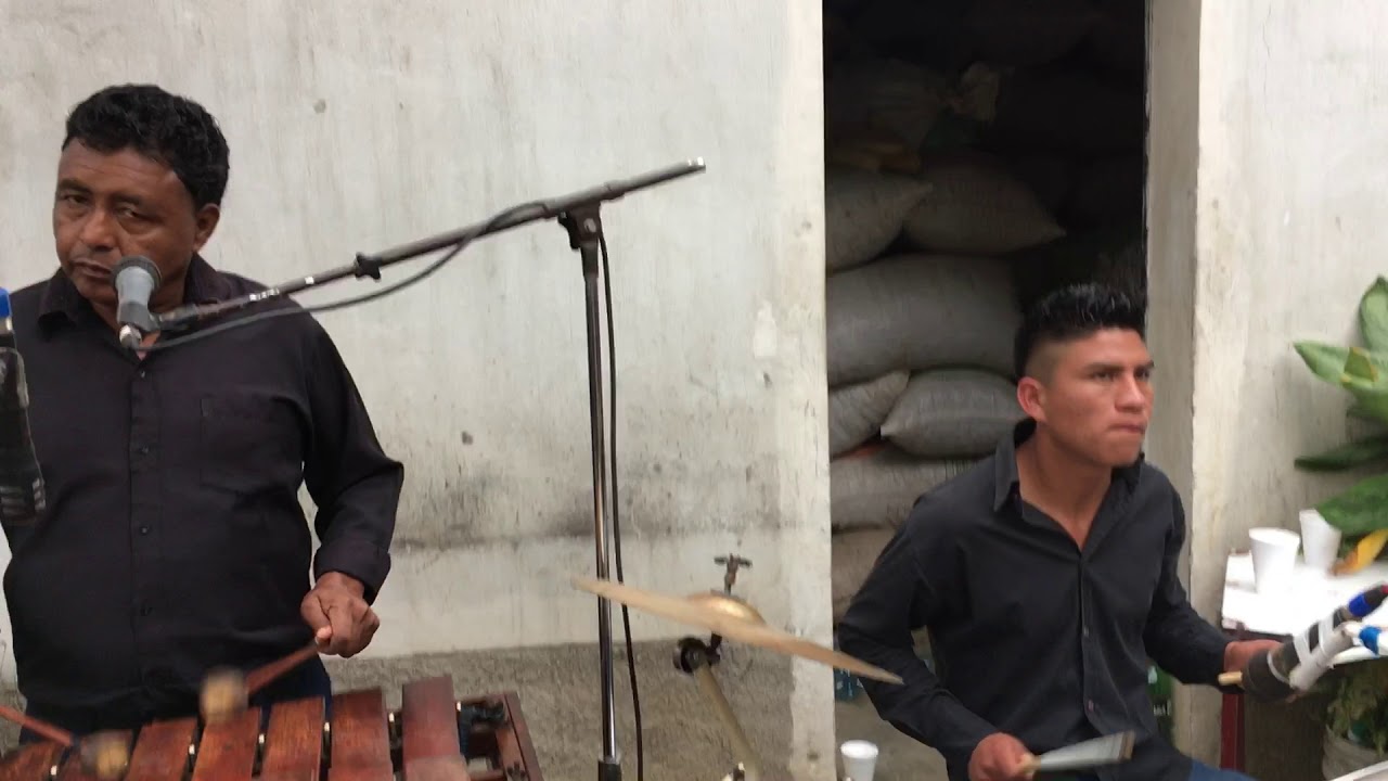 CABALLO VIEJO