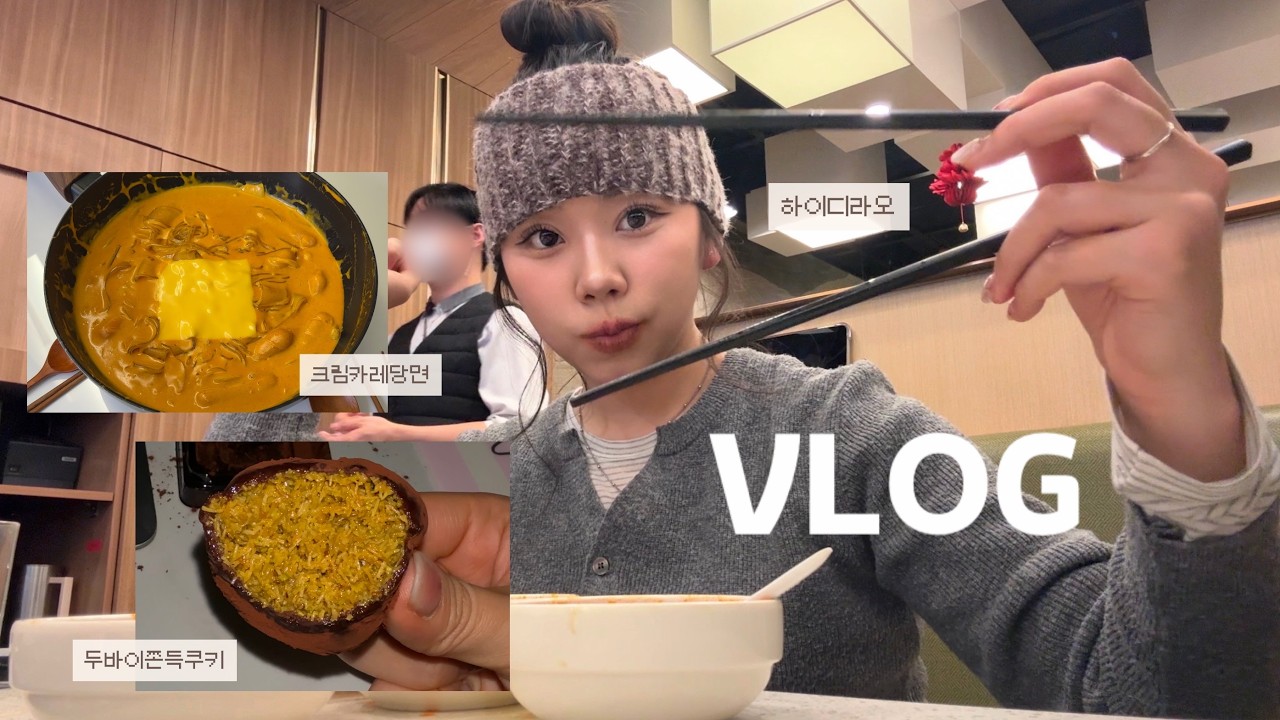 vlog • 뉴뉴 쇼핑하고 하이디라오 먹고 크림카레당면 먹고 중간중간 계속 간식 먹는 일상(먹방) 브이로그 | 아 맞다 하츠투하츠 앨범깡도 했다