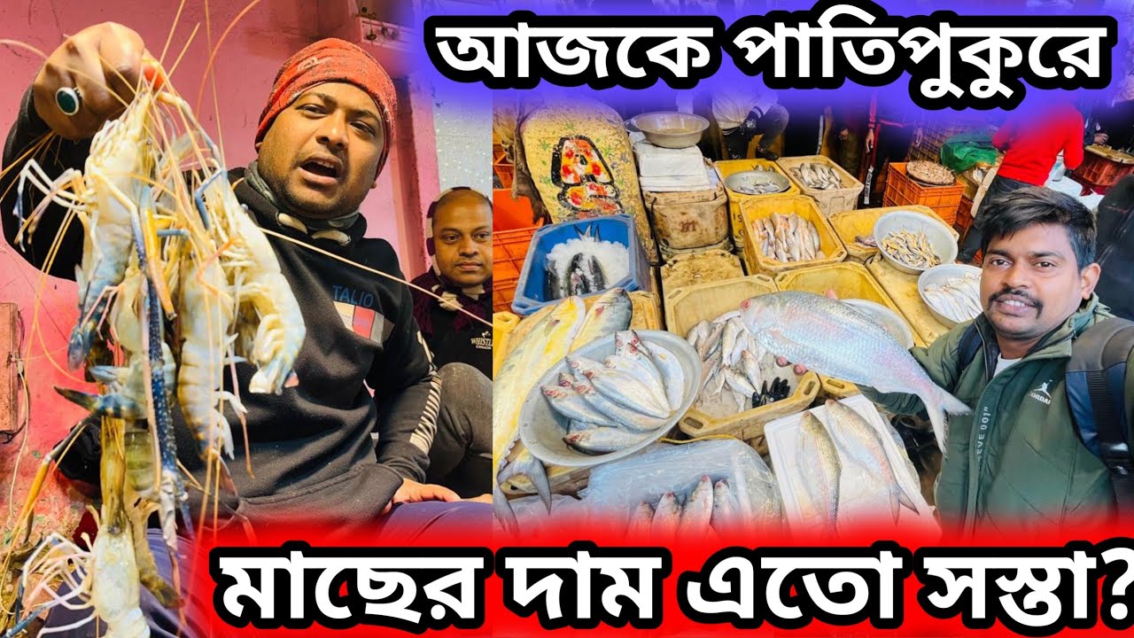 পাতিপুকুর মাছের পাইকারি  বাজার থেকে কম দামে মাছ কিনে ব্যবসা করুন || wholesale fish market #fish