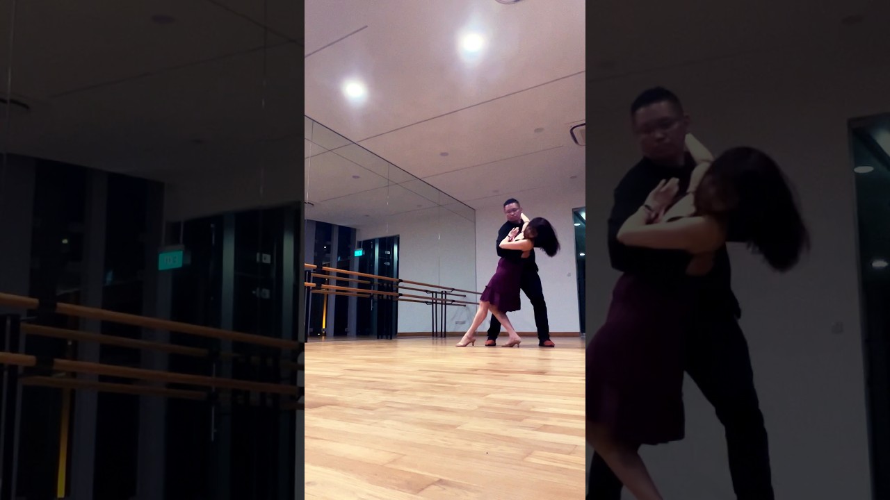 #poissonrouge #frenchsong #dance #ballroomdance #coupledance #latindance #zouk #zoukdance #slowdance