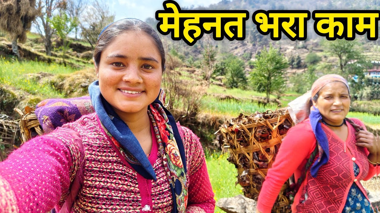 पहाड़ों की मेहनत भरी जिन्दगी 😇 ।। Pahadi Lifestyle Vlog Kedarghati || Kareenavlogs11 || Farmwork ||