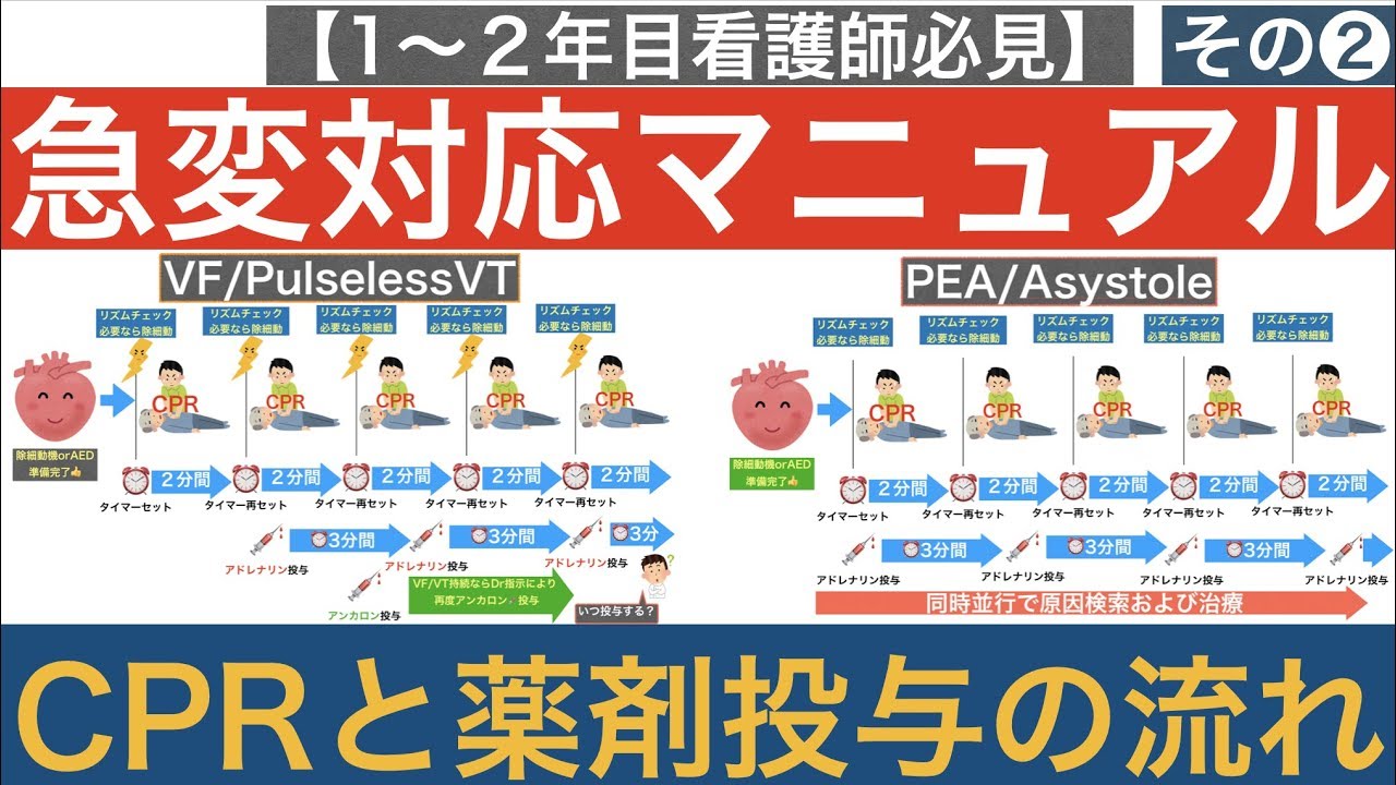 【１〜２年目看護師必見！】急変対応マニュアル🚑その②