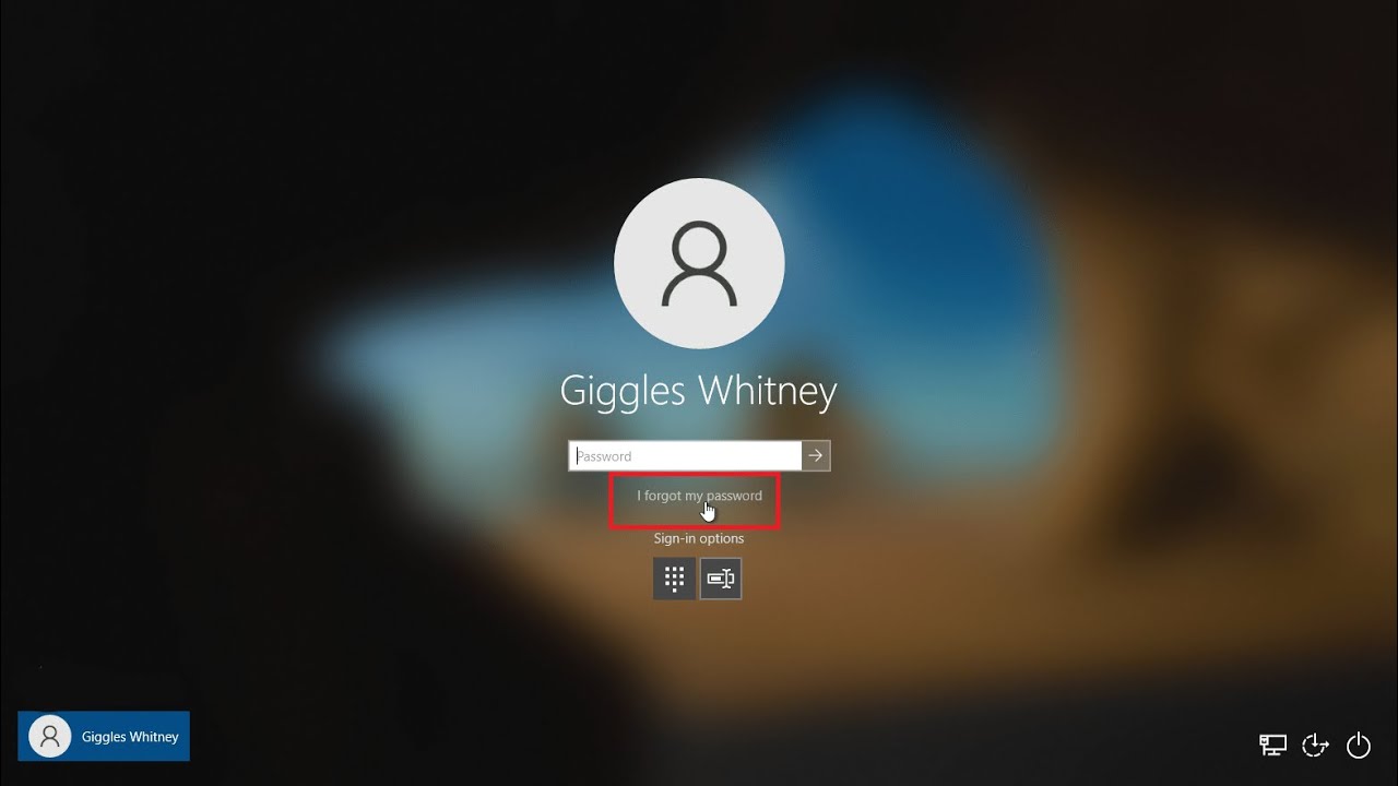 reset windowspassword