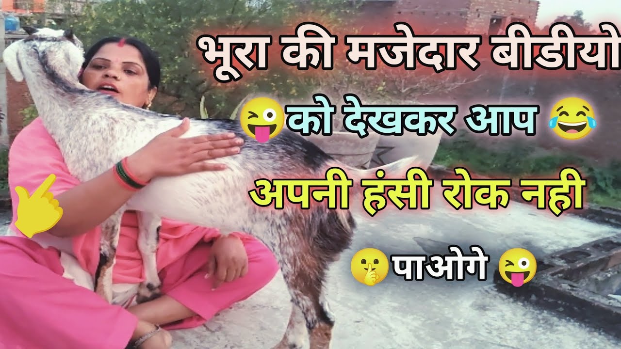 भूरा की मजेदार बीडी बीडीयो को देखकर आप अपनी हंसी को रोक कर दिखाओ.. 😂😜