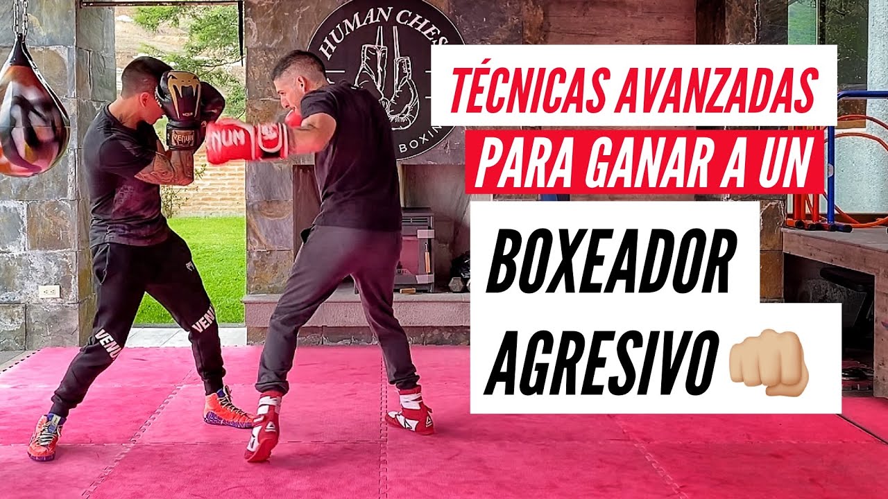 Técnicas Avanzadas para Ganar a un Boxeador Agresivo