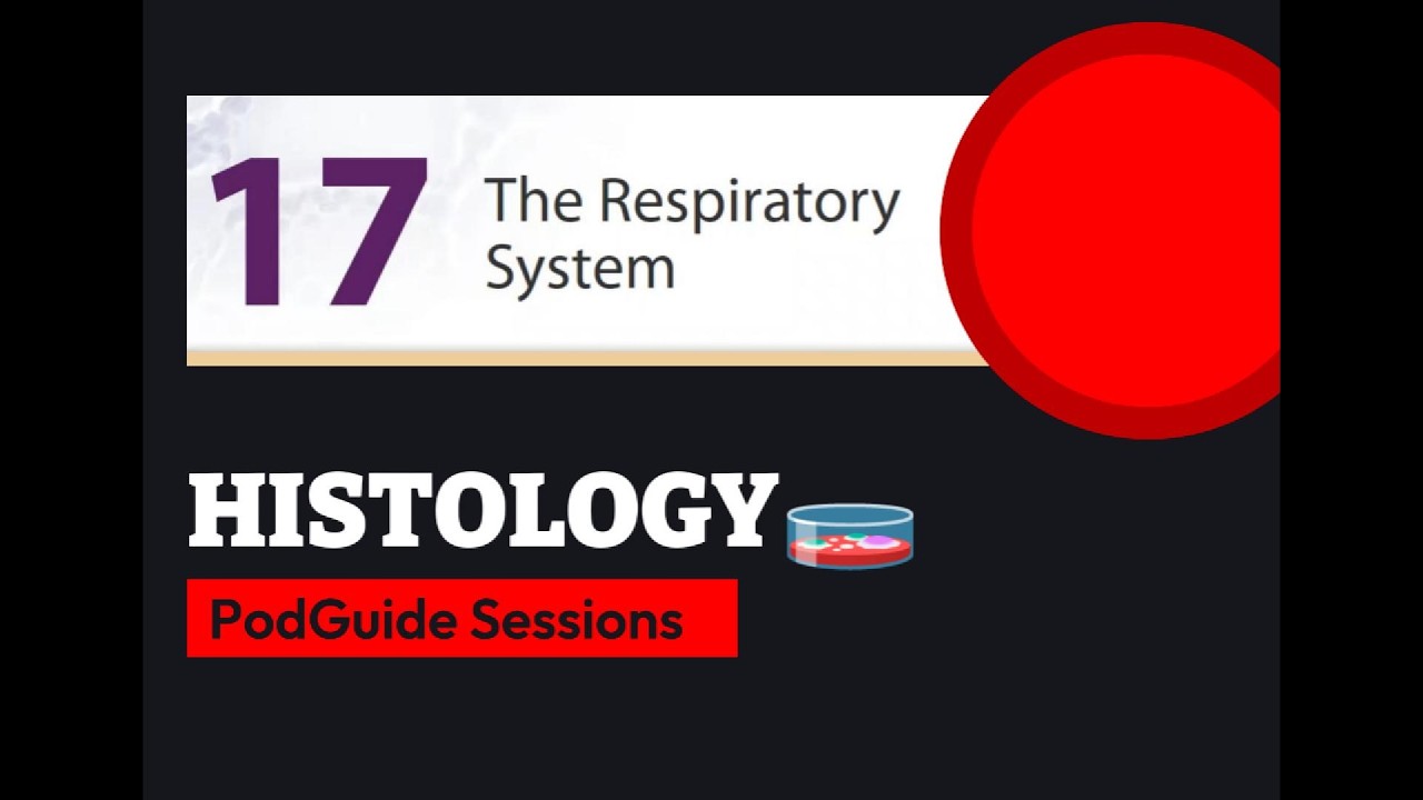 Histology: The Respiratory System