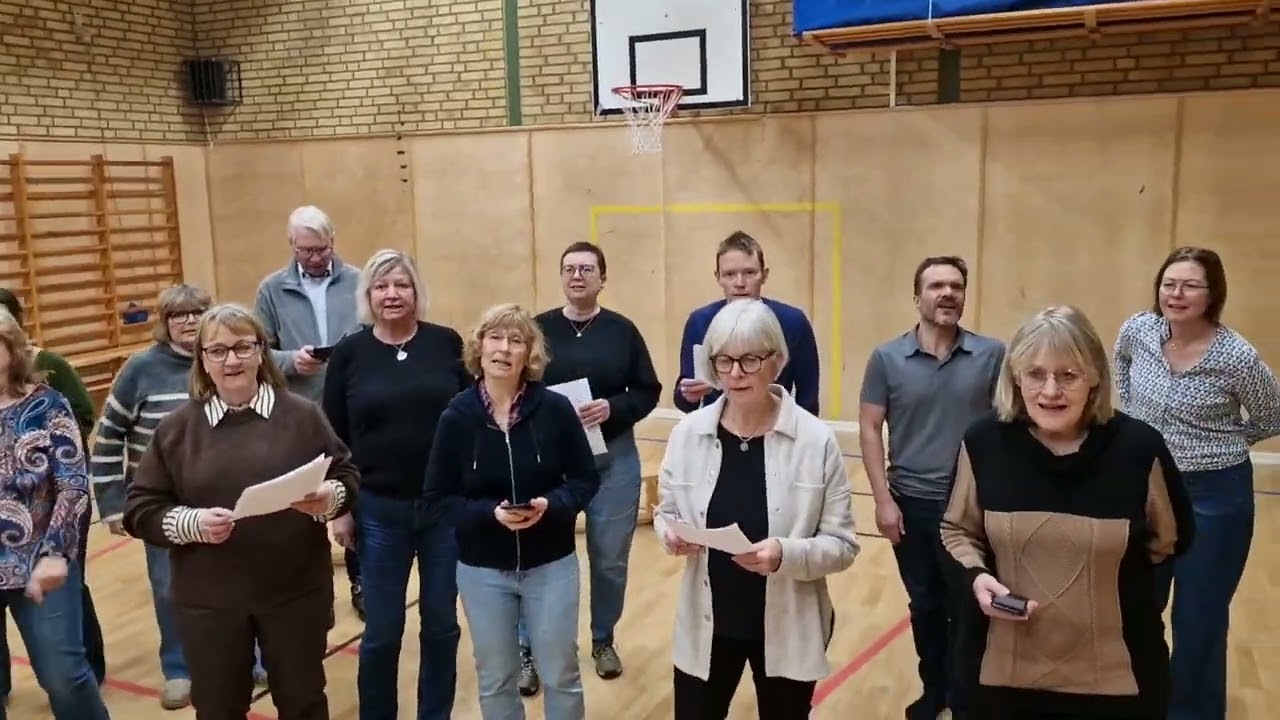 Joyvoice Ängelholm vt-26