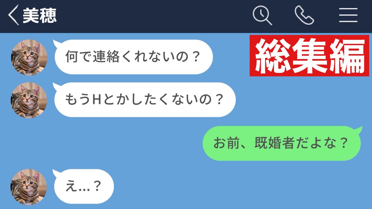【LINE】アプリで知り合ったFカップ美女が既婚者だったwww【総集編・作業用・睡眠用】