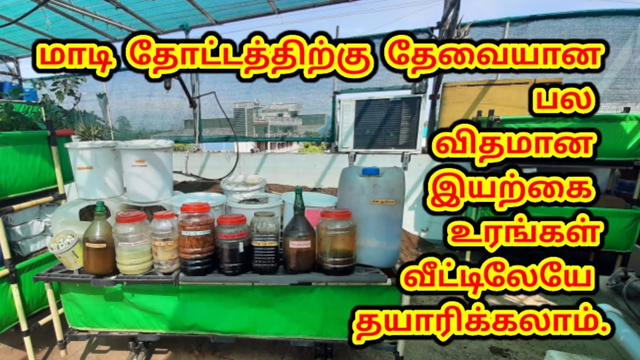 All homemade fertilizer for terrace garden வீட்டிலேயே தாயாரிக்ககூடிய இயற்கை உரங்கள். growth boosters