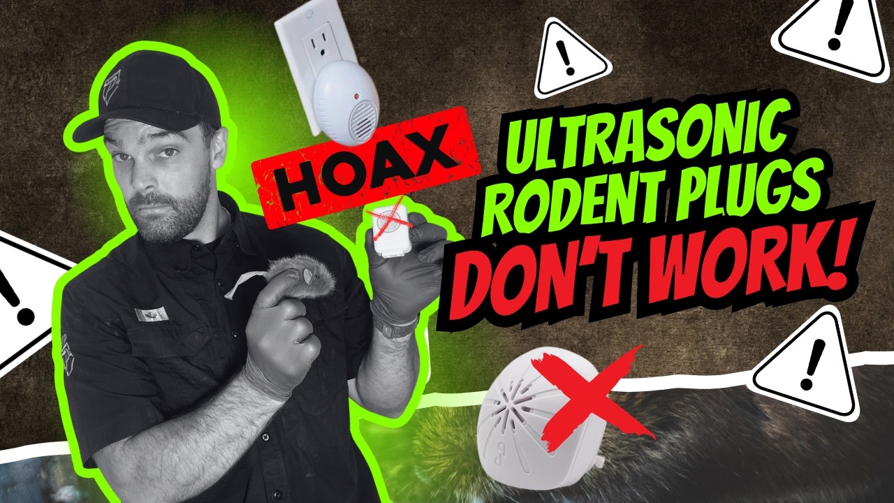 Do Ultrasonic Rodent Repellent Plugs Actually Keep Rats & Mice Away?