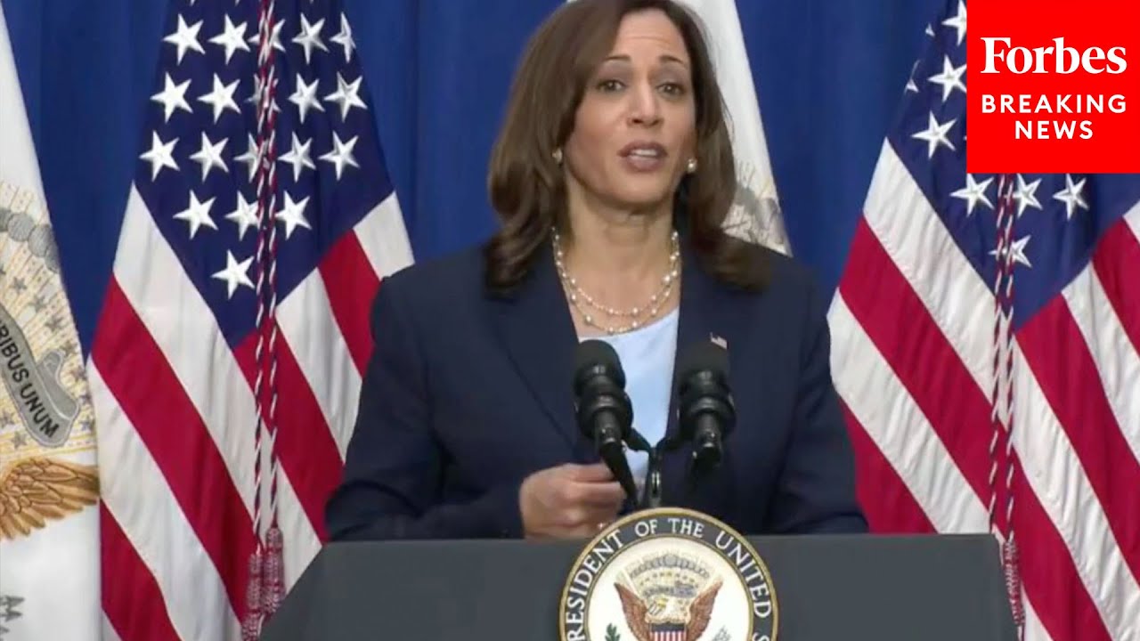 VP Kamala Harris Speaks About Maternal Healthcare Crisis