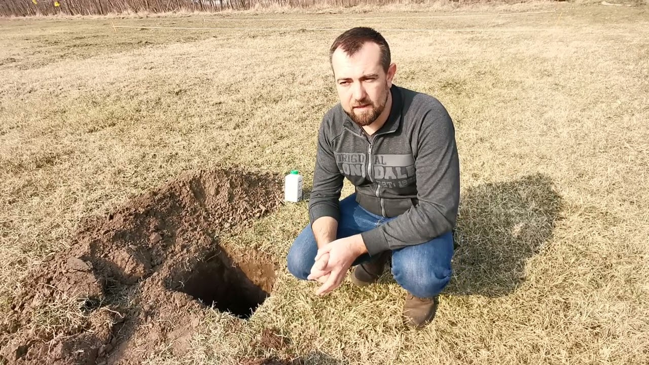 Ipari Császárfa ültetvény terület előkészítése, ültetőgödör kialakítása