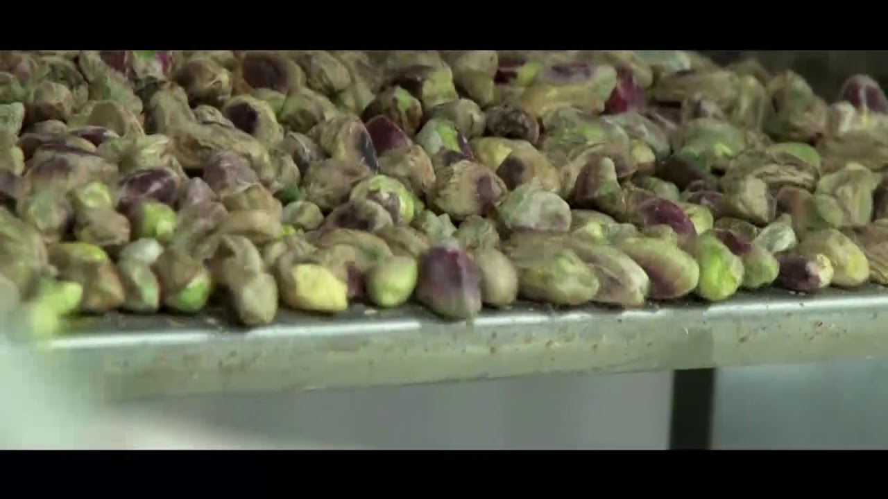 THE PISTACHIO COMPANY