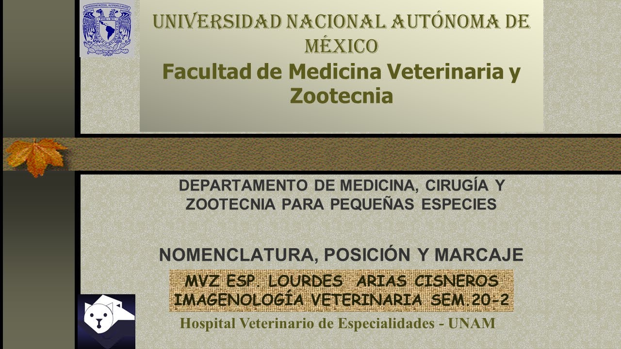FMVZ UNAM. CLASE IMAGENOLOGÍA VETRINARIA Viernes 3 de julio de 2020. Nomenclatura radiográfica.