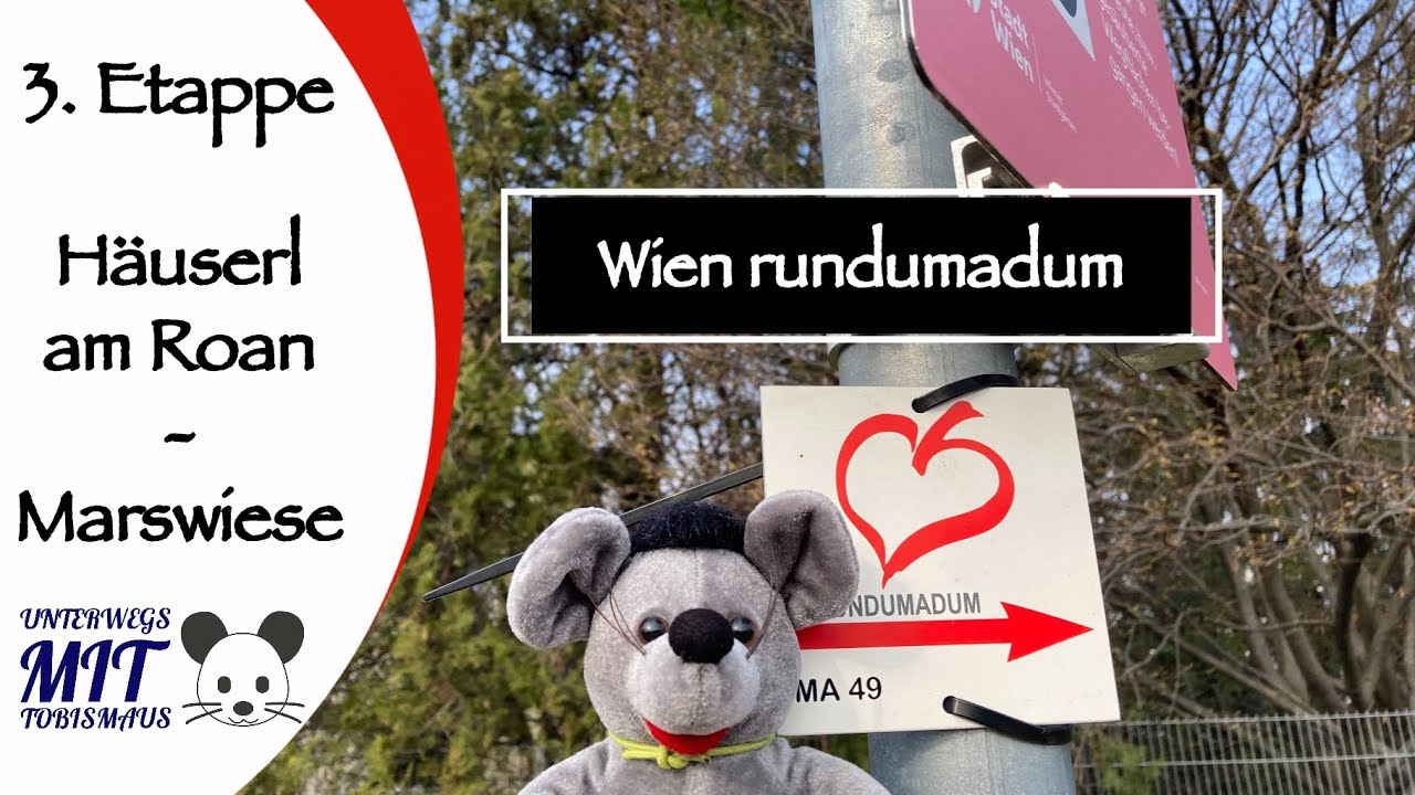 rundumadum Wanderweg Etappe 3 Häuserl am Roan - Marswiese | 4K und Drohnen Shots