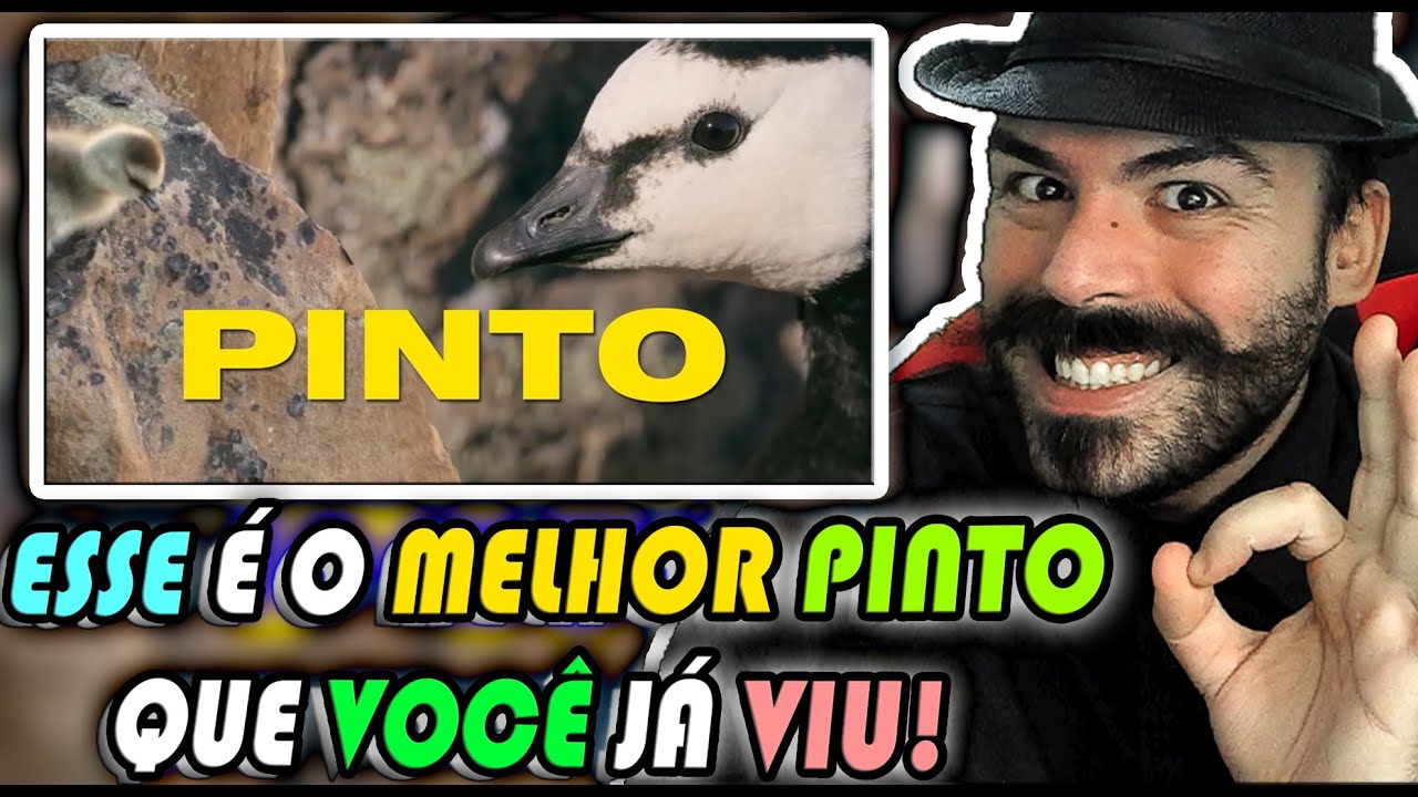 REACT - UMA LENDA CHAMADA PINTO @Super Saladin