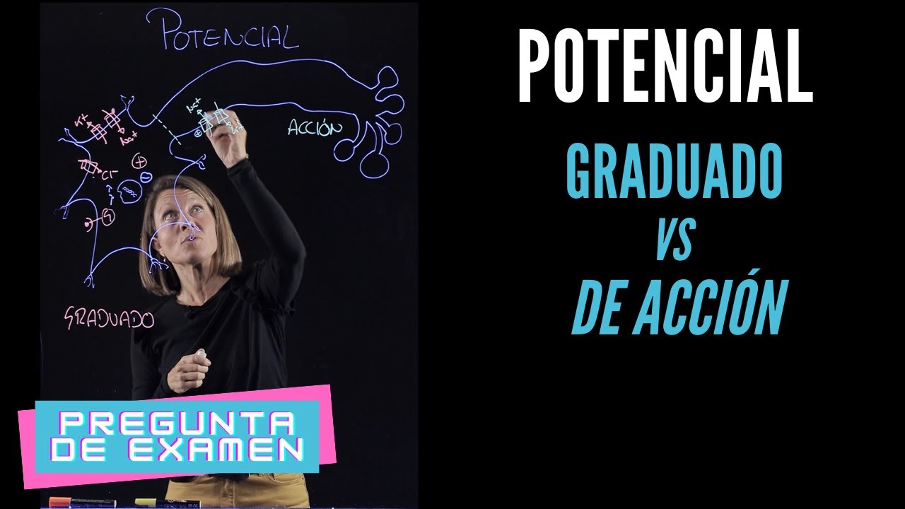 Potencial Graduado vs Potencial de Acción