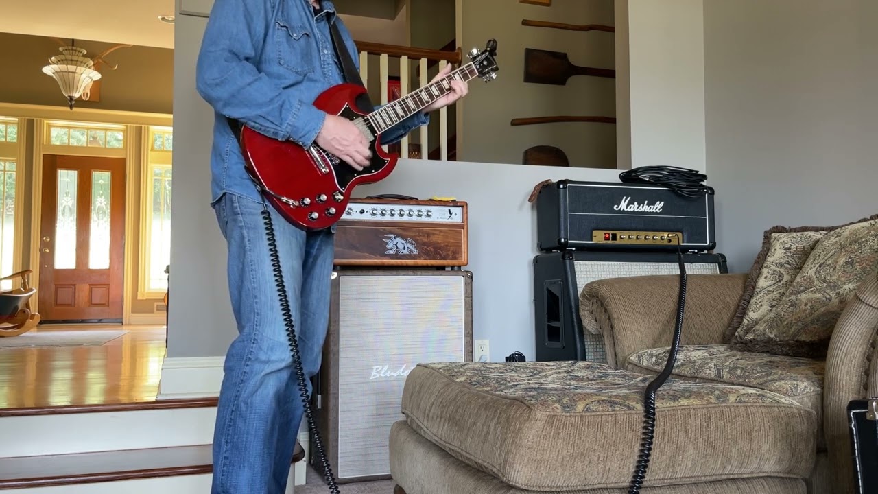 Wizz Premium Clone P.A.F. pickups