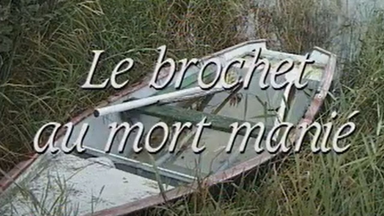 Leurre de la pêche : Le brochet au mort manié