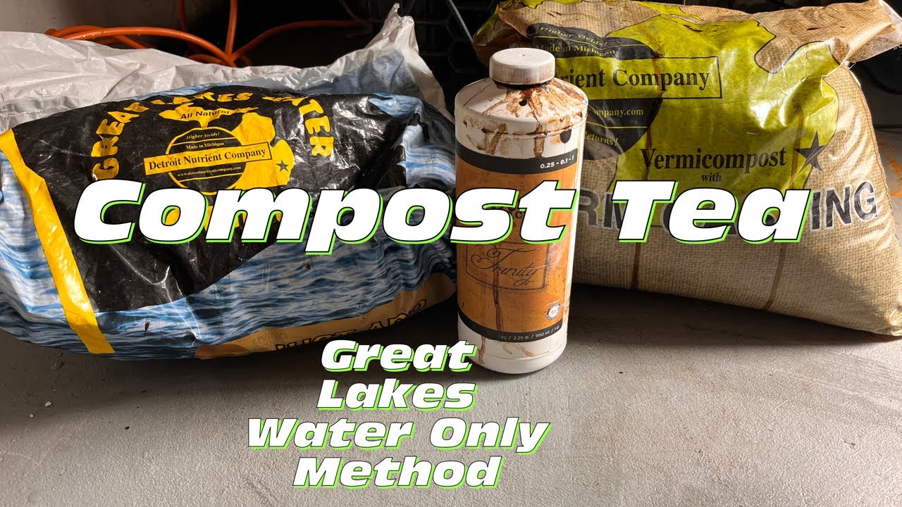 Compost Tea + Adding It To My Three Lemon Crosses