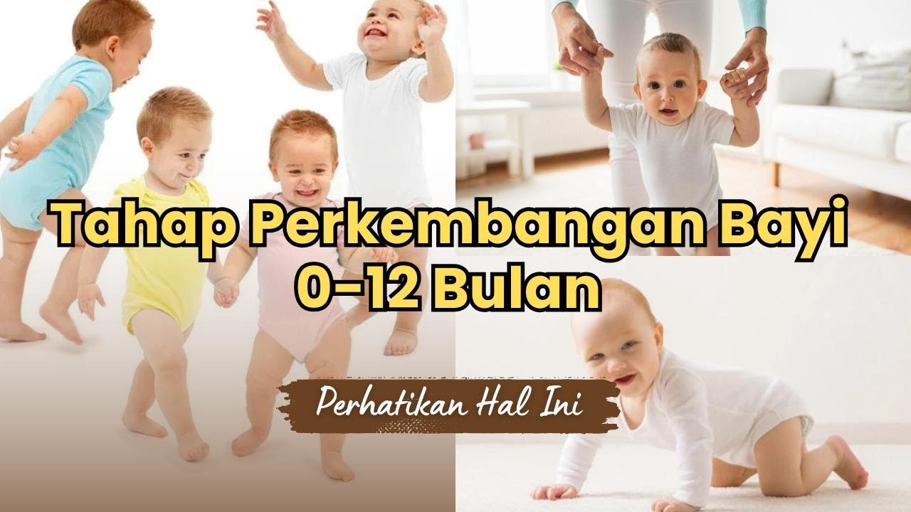 TAHAPAN PERKEMBANGAN BAYI 0-12 BULAN | PERHATIKAN HAL INI..