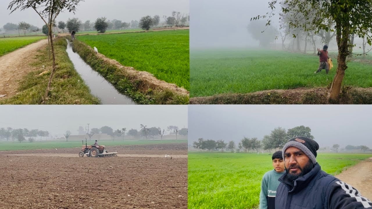 Aaj Gandum ko Pani lagaya | piyaz ka liya zameen tiyar Kara li 