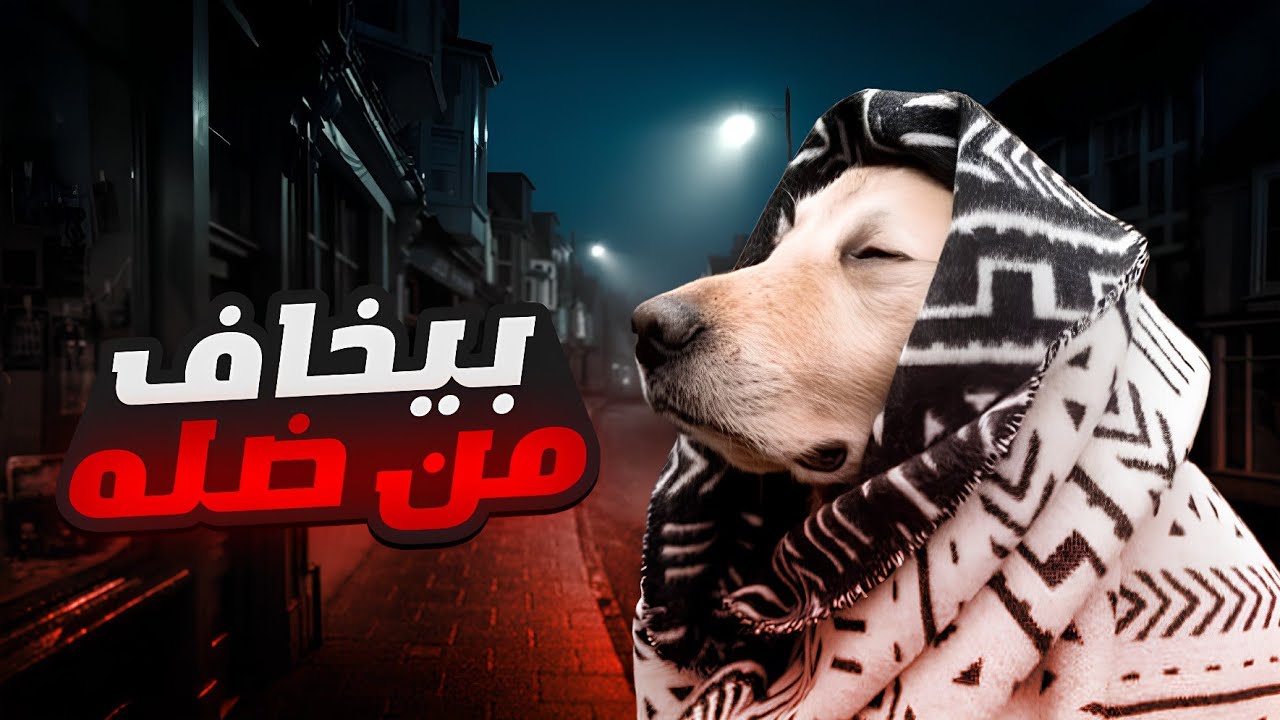 قصة كلبي غريب الأطوار شبح على هيئة كلب !!