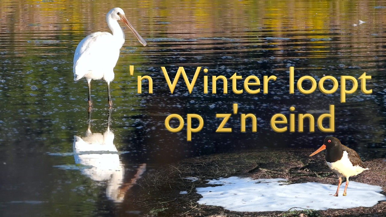 SCHOLEKSTER EN LEPELAAR in: 'n WINTER LOOPT OP Z'N EIND
