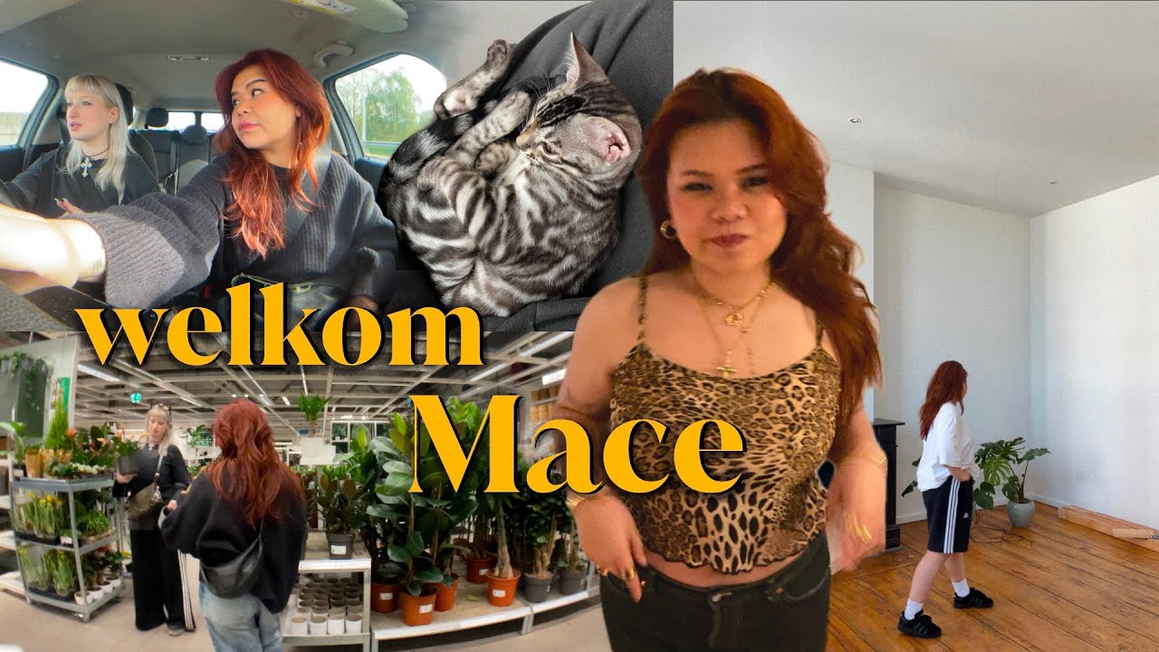 katje adopteren & appartement updates
