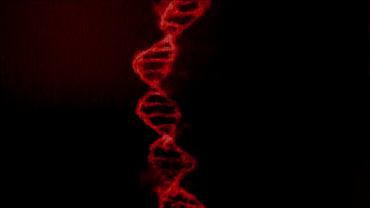 Pazzy - DNA