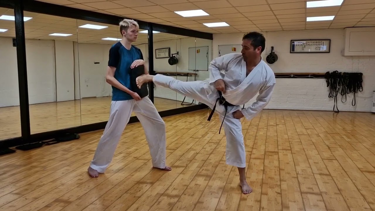 Ushiro Geri - Knee Position