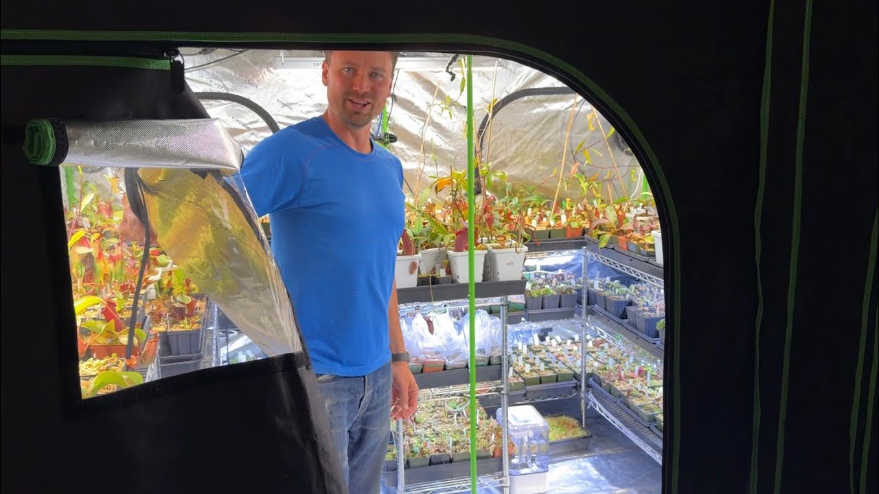 Экскурсия в камеру выращивания хищных растений Хайленда в 2025 году.
