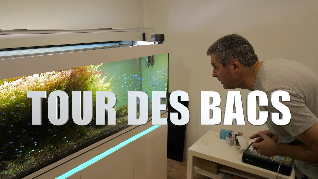 Je fais le tour des bacs 