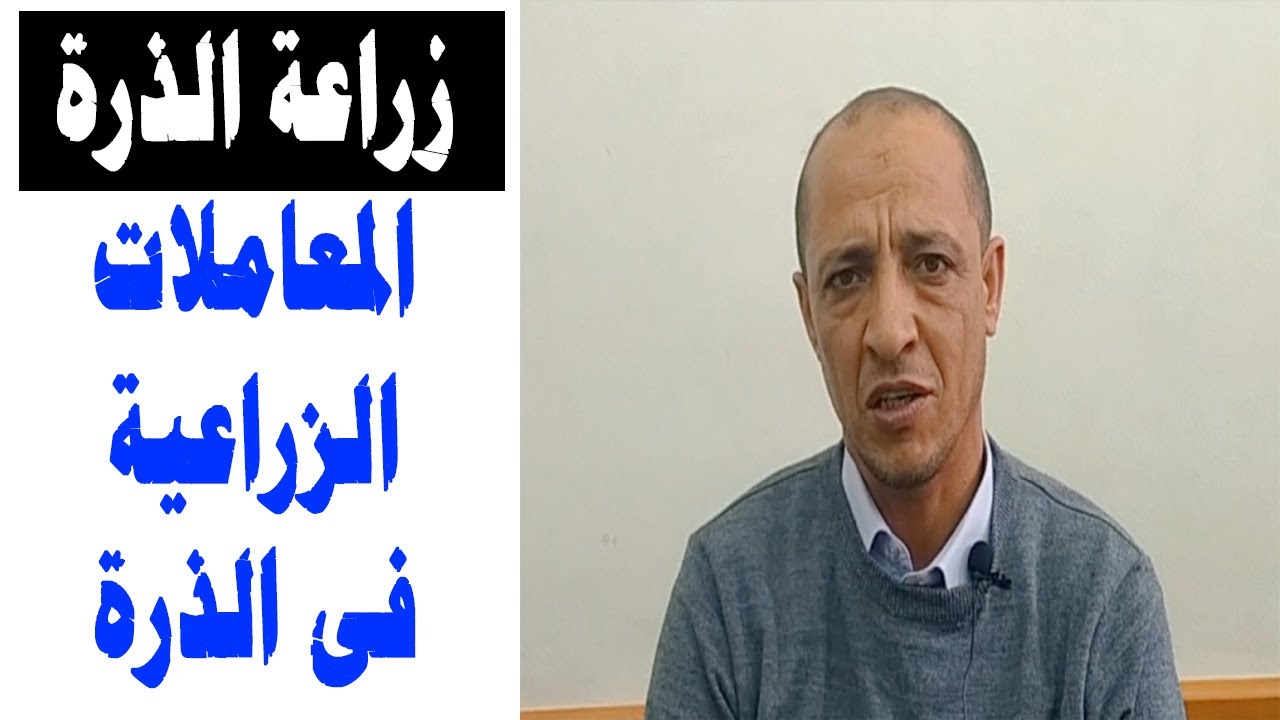 زراعة الذرة | اهم المعاملات الزراعية التي تتم في زراعة الذرة