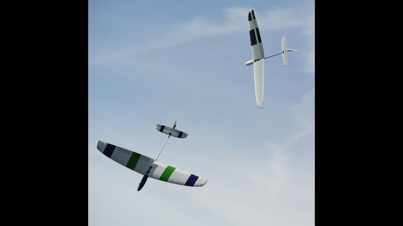 Libelle Dreamflight