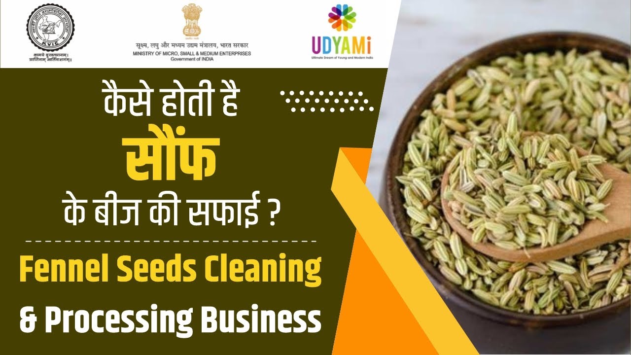 कैसे होती है सौंफ के बीज की सफाई | Fennel Seeds Cleaning Processing Business| सौंफ प्रोसेसिंग बिज़नेस